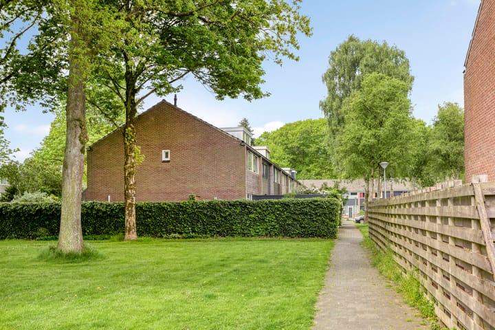 Foto 54 van Laan van de Bork 432