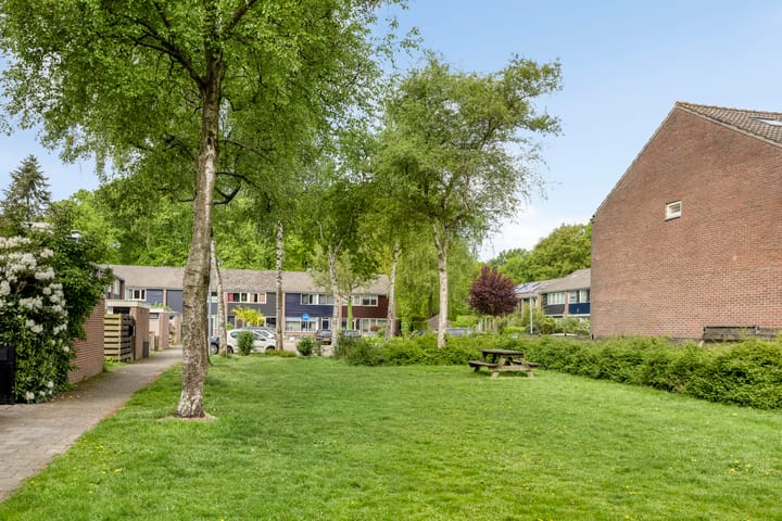 Foto 55 van Laan van de Bork 432