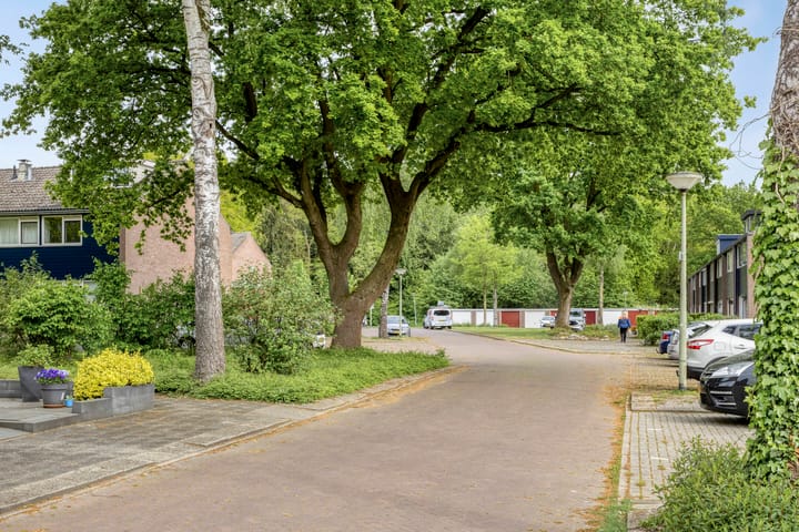 Foto 56 van Laan van de Bork 432