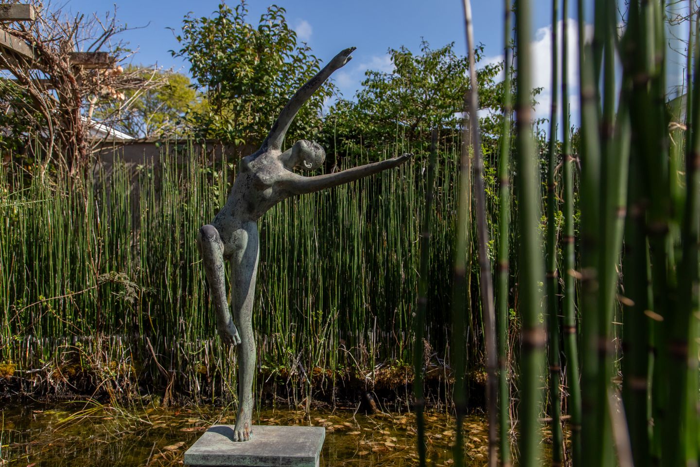 Photo 55 of Bachlaan 2