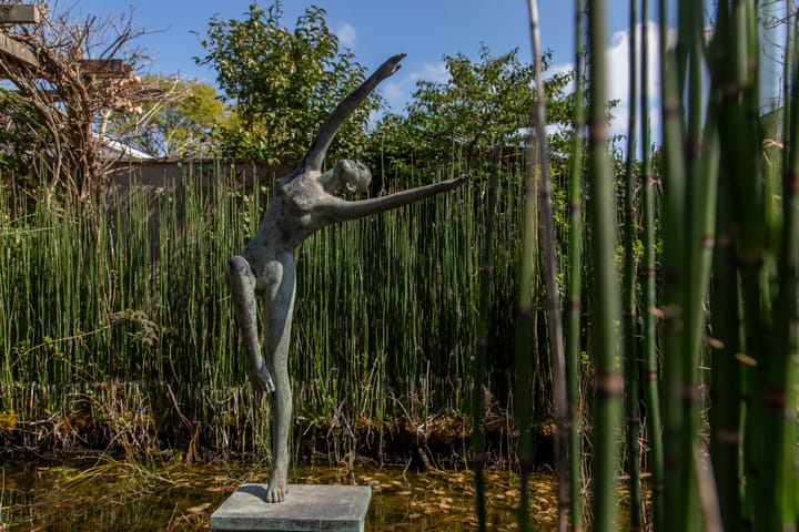 Foto 55 van Bachlaan 2