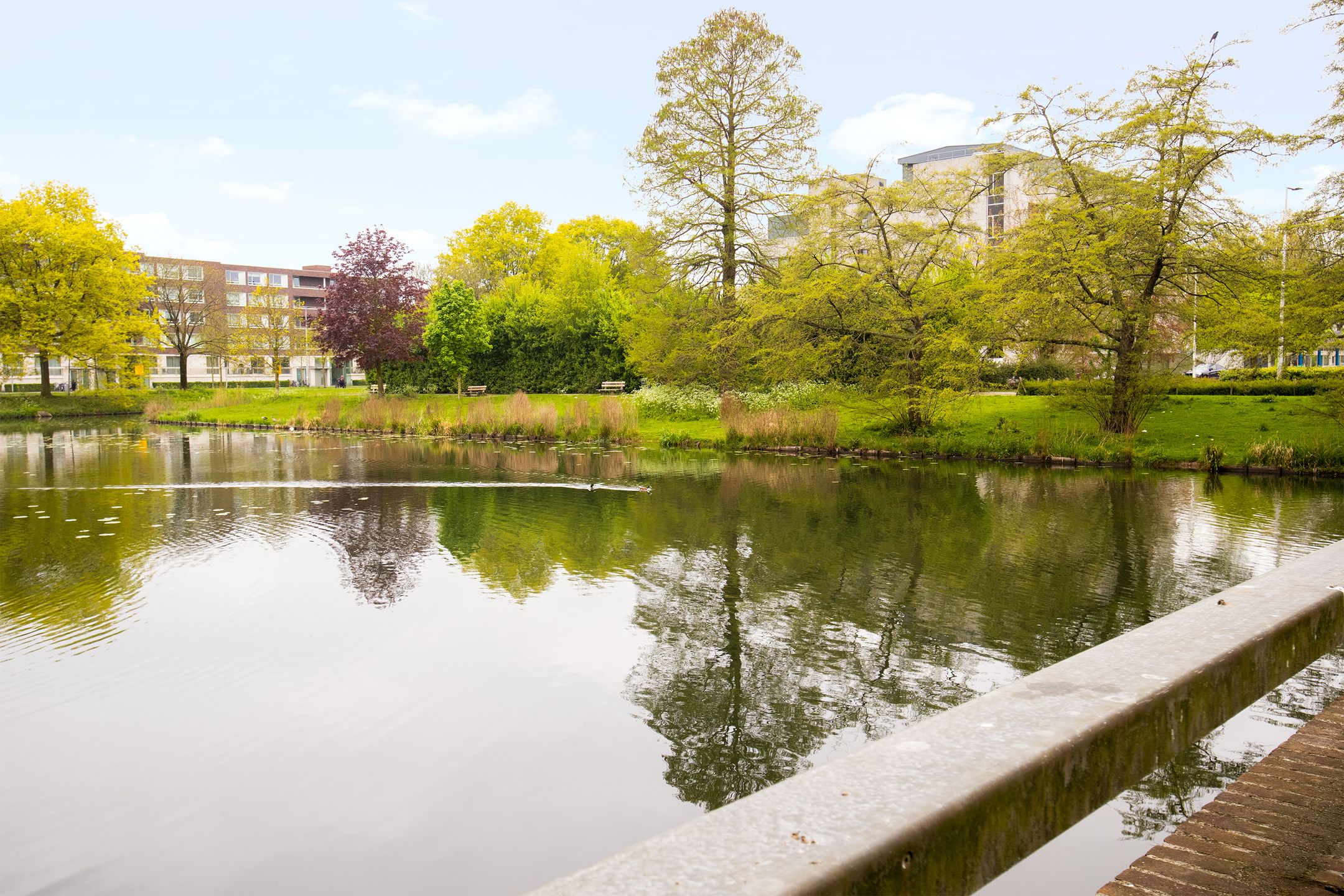 Foto 24 van Van Borselenstraat 48