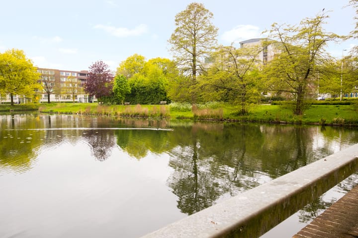 Photo 24 of Van Borselenstraat 48