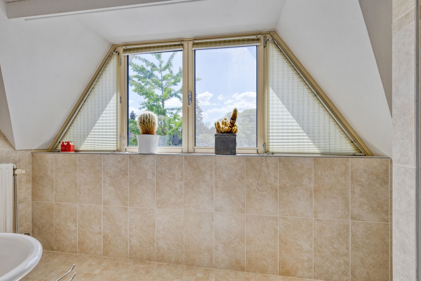 Foto 40 van Prinses Marijkestraat 15