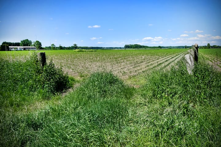 Photo 46 of Conference 7