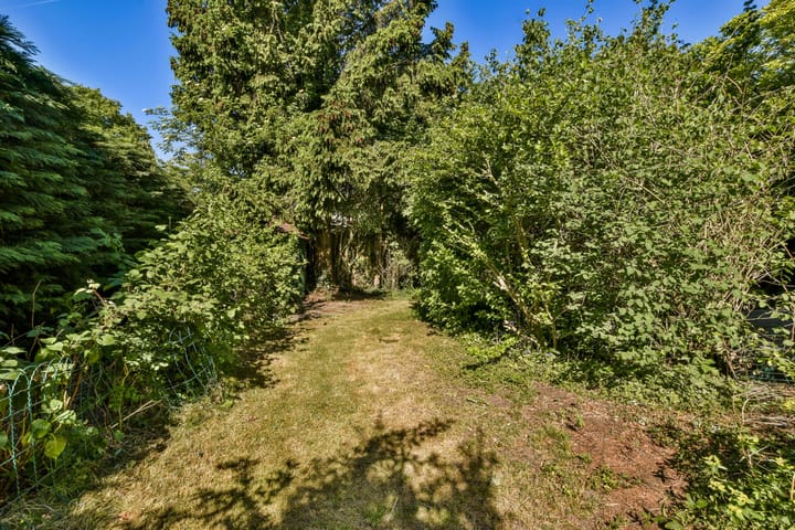 Foto 11 van Rembrandtweg 407