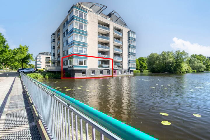 Foto 1 van Watersalamander 51