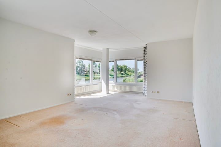 Foto 2 van Watersalamander 51