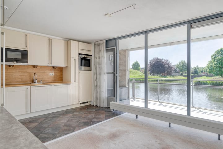 Foto 3 van Watersalamander 51