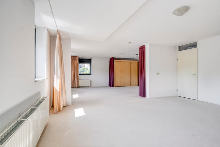 Foto 4 van Watersalamander 51