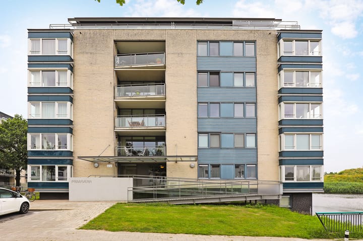 Foto 7 van Watersalamander 51