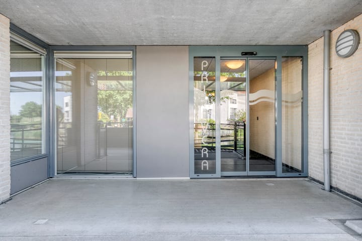 Foto 9 van Watersalamander 51