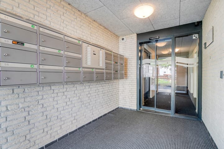 Foto 10 van Watersalamander 51