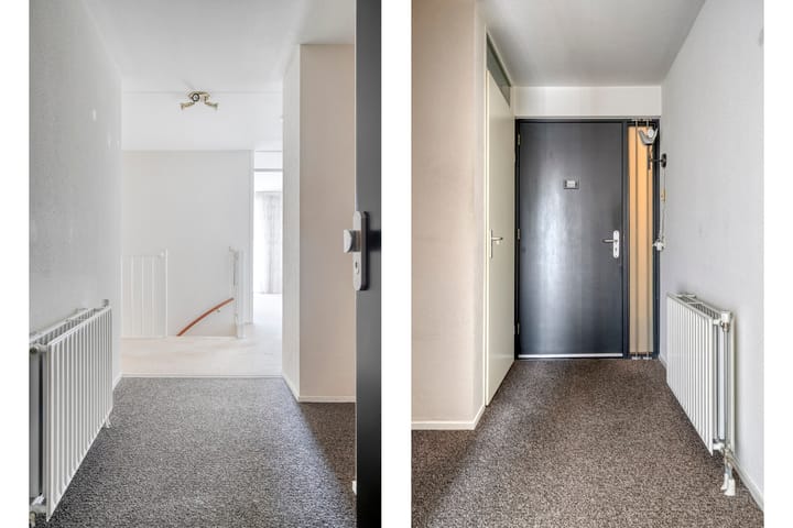 Foto 12 van Watersalamander 51