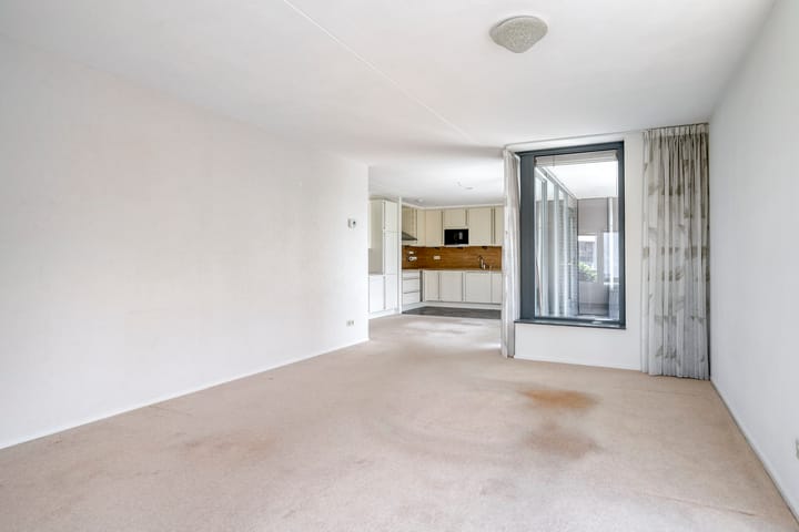 Foto 14 van Watersalamander 51