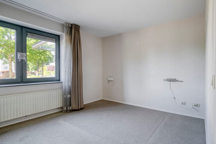 Foto 18 van Watersalamander 51