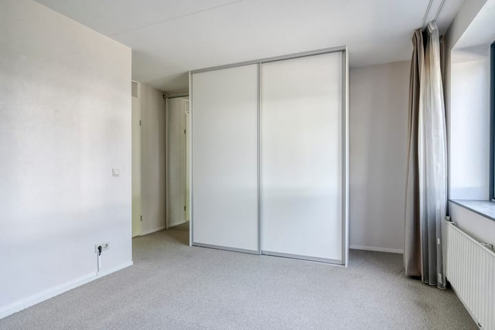 Foto 19 van Watersalamander 51