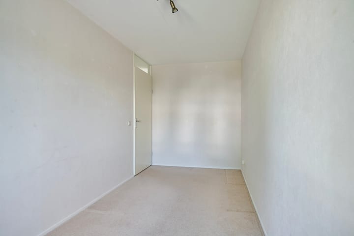 Foto 21 van Watersalamander 51