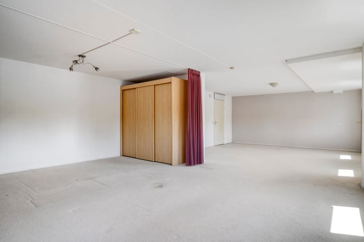 Foto 23 van Watersalamander 51