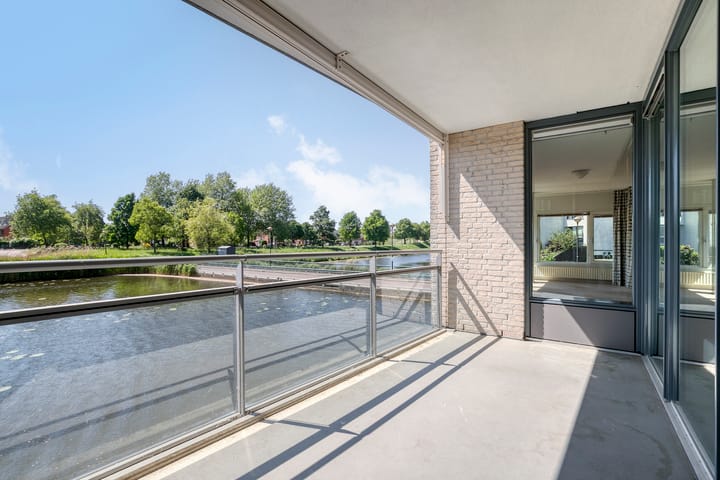 Foto 25 van Watersalamander 51