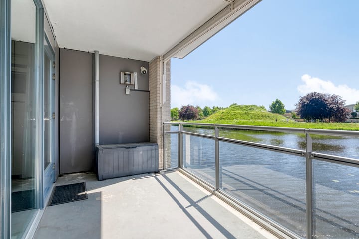 Foto 26 van Watersalamander 51