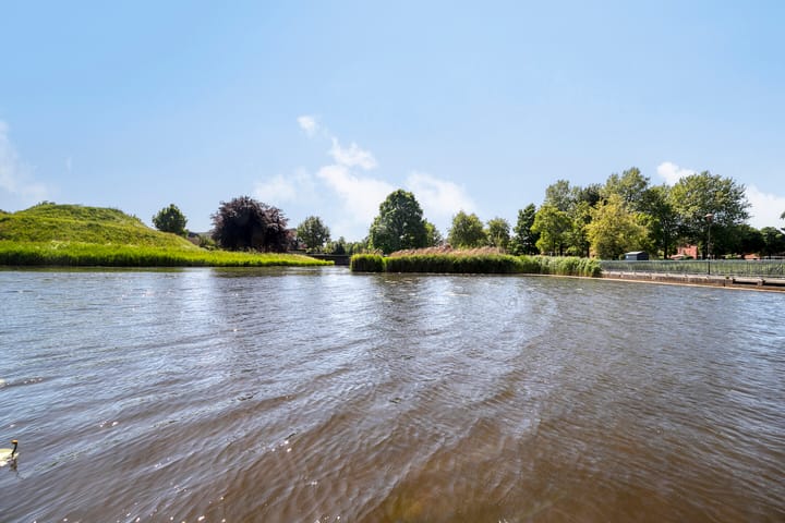 Foto 27 van Watersalamander 51