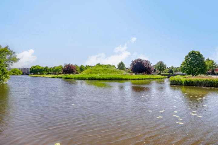 Foto 28 van Watersalamander 51