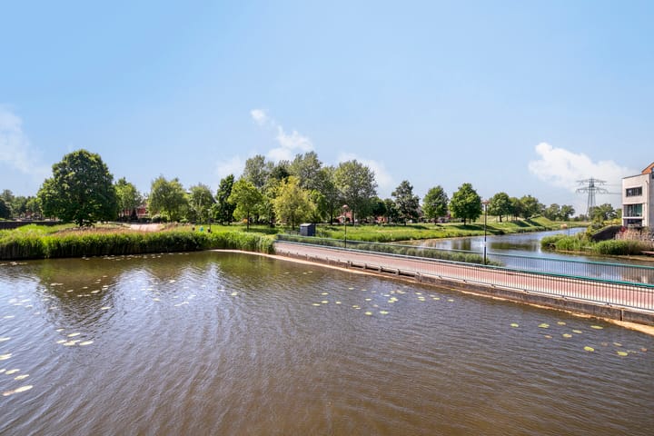 Foto 29 van Watersalamander 51