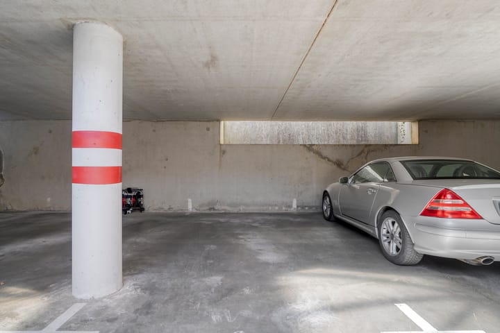 Foto 30 van Watersalamander 51