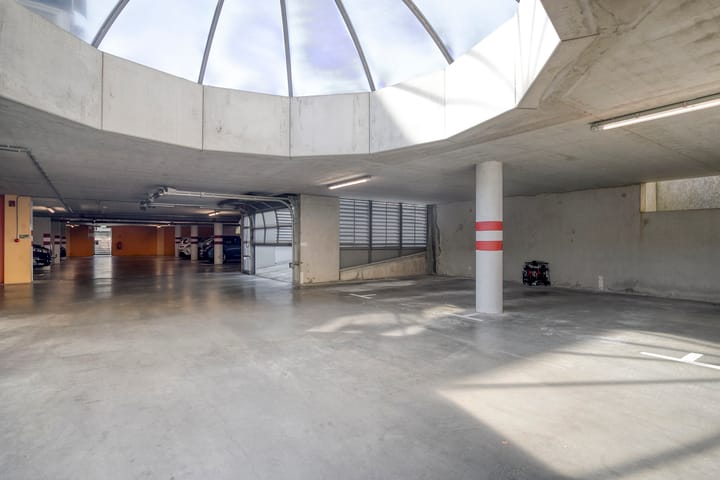 Foto 31 van Watersalamander 51