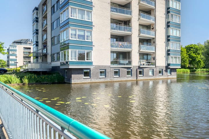 Foto 32 van Watersalamander 51