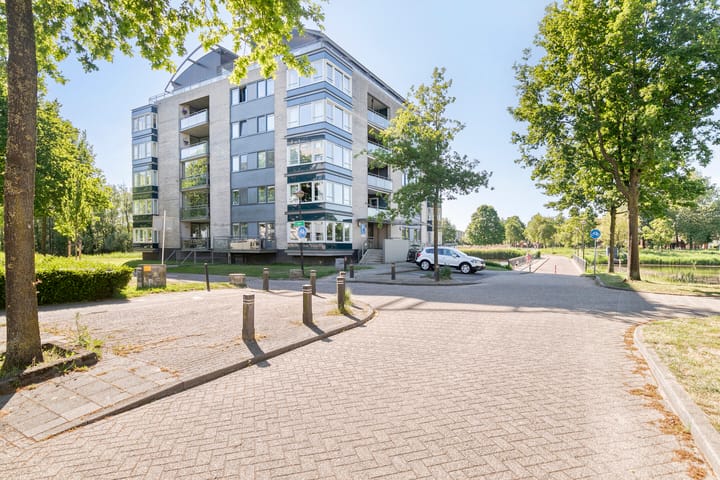 Foto 33 van Watersalamander 51