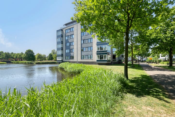 Foto 35 van Watersalamander 51