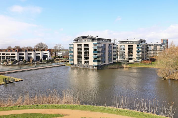 Foto 36 van Watersalamander 51