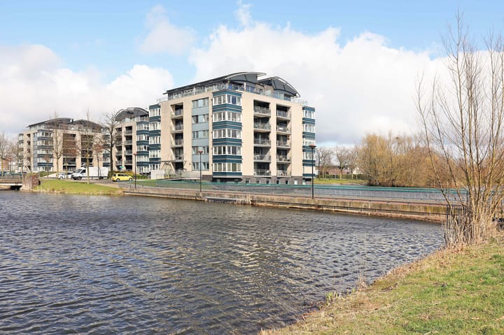 Foto 38 van Watersalamander 51