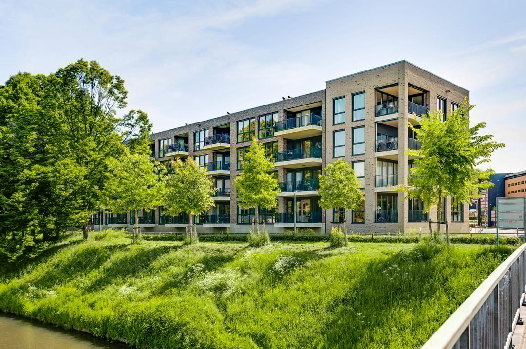 Photo 2 of Loesbleik 52