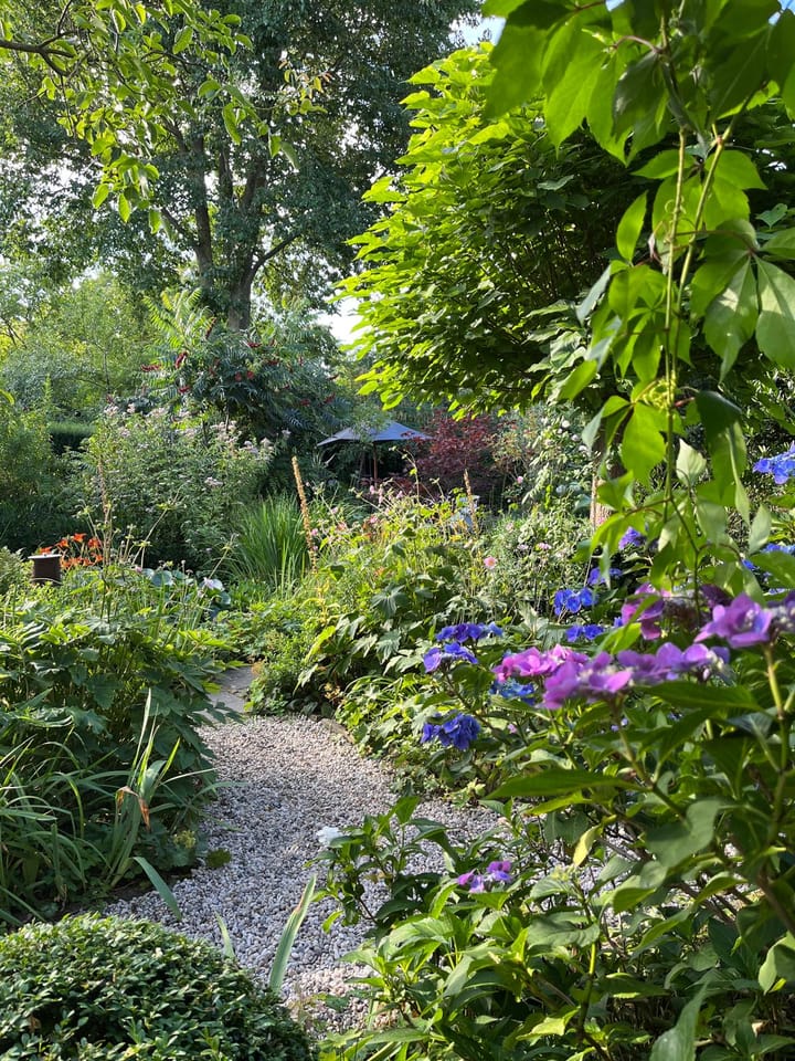 Foto 65 van Kranenburger Straße 215 in Goch-Kessel