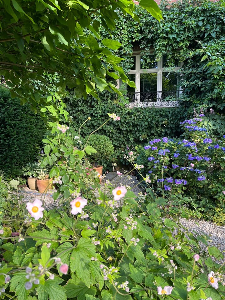 Foto 66 van Kranenburger Straße 215 in Goch-Kessel