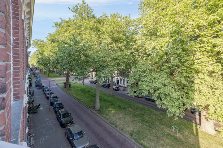 Foto 29 van Oudedijk 255-B02