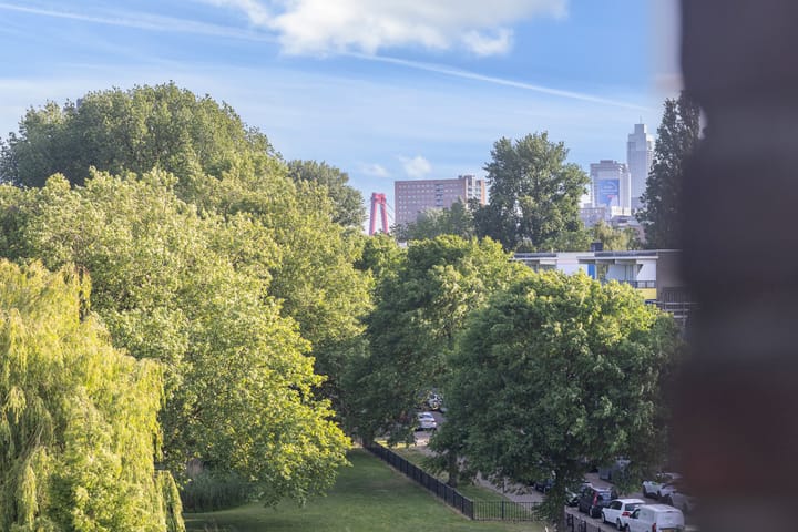 Foto 36 van Oudedijk 255-B02