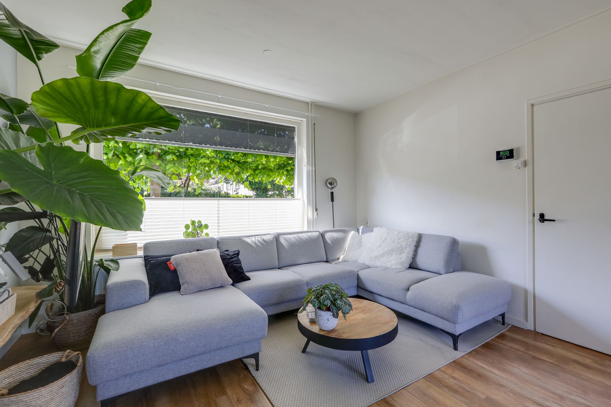 Photo 12 of Annastraat 34