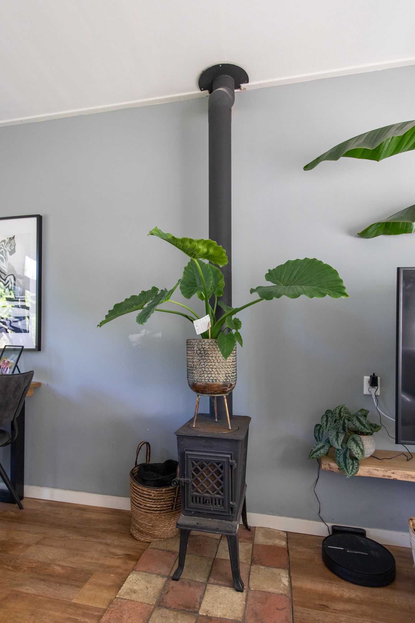 Photo 15 of Annastraat 34