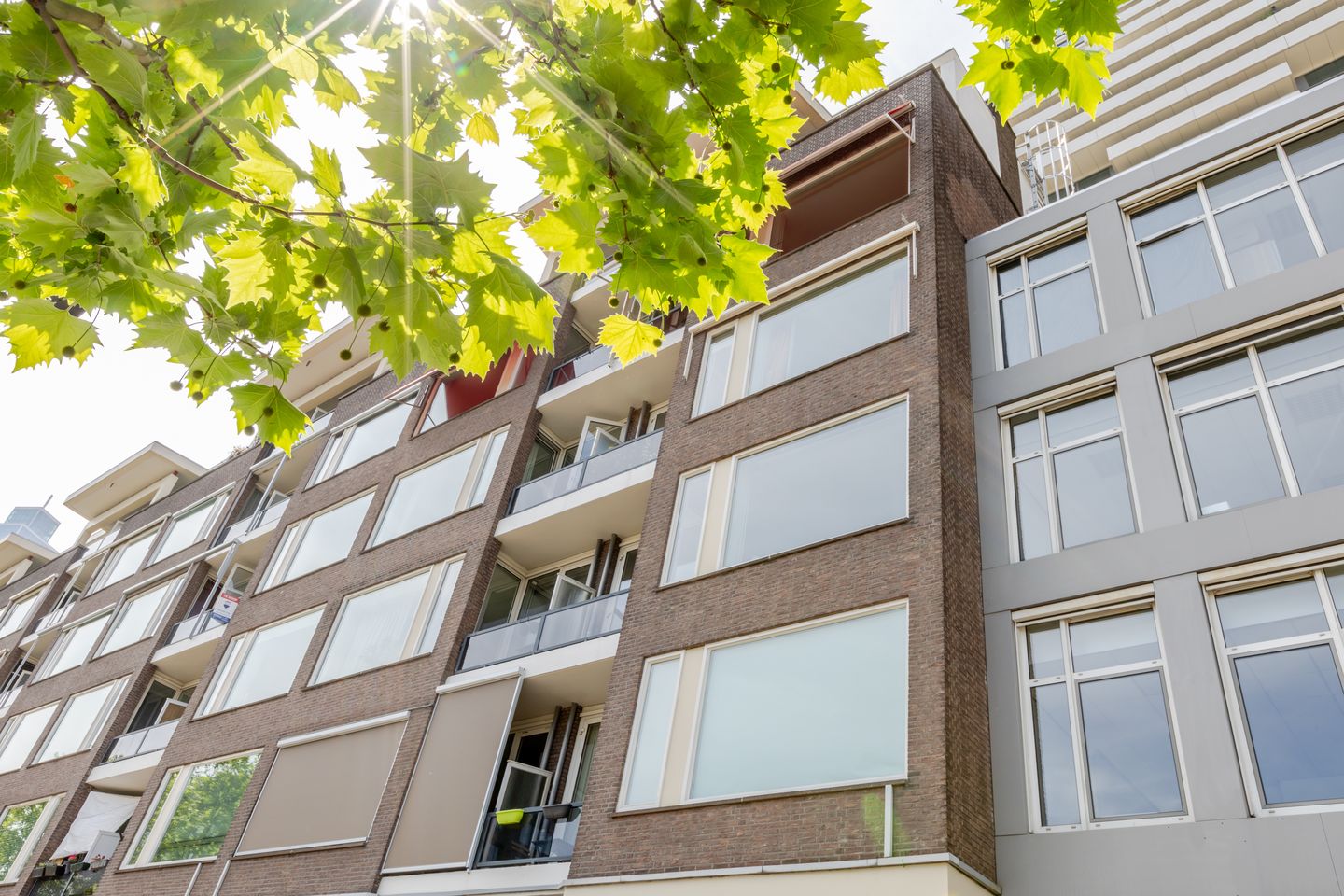 Foto 1 van Schiedamsedijk 78-C