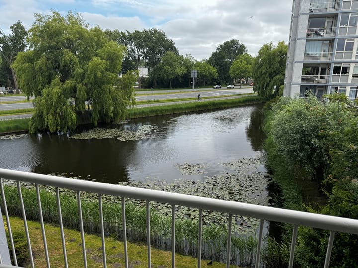 Foto 6 van Jacob van Campenlaan 4