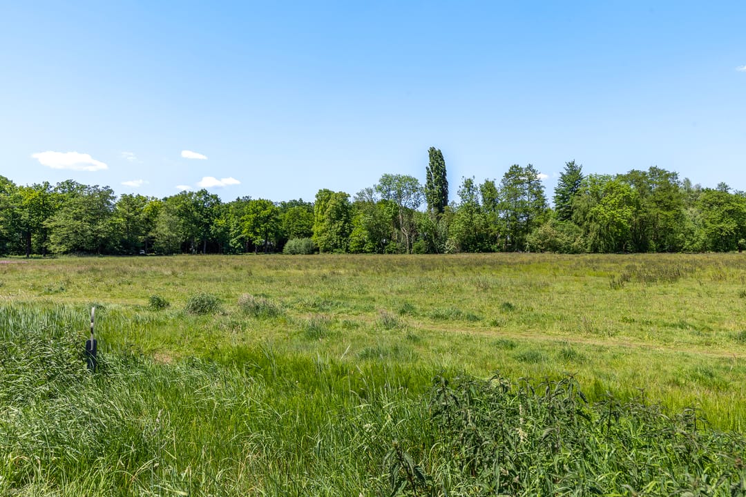 Foto 38 van Erewacht 21