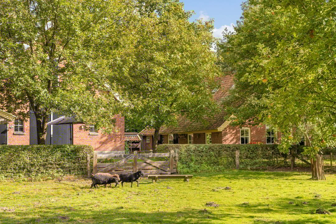 Foto 52 van Weerseloseweg 271