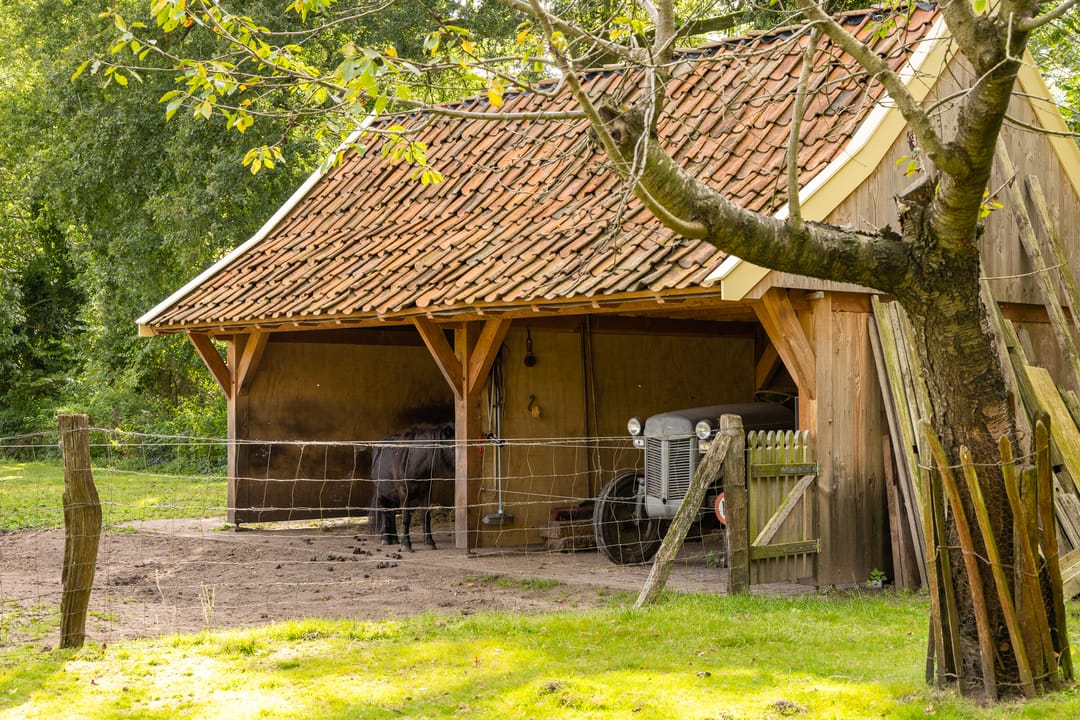 Foto 53 van Weerseloseweg 271