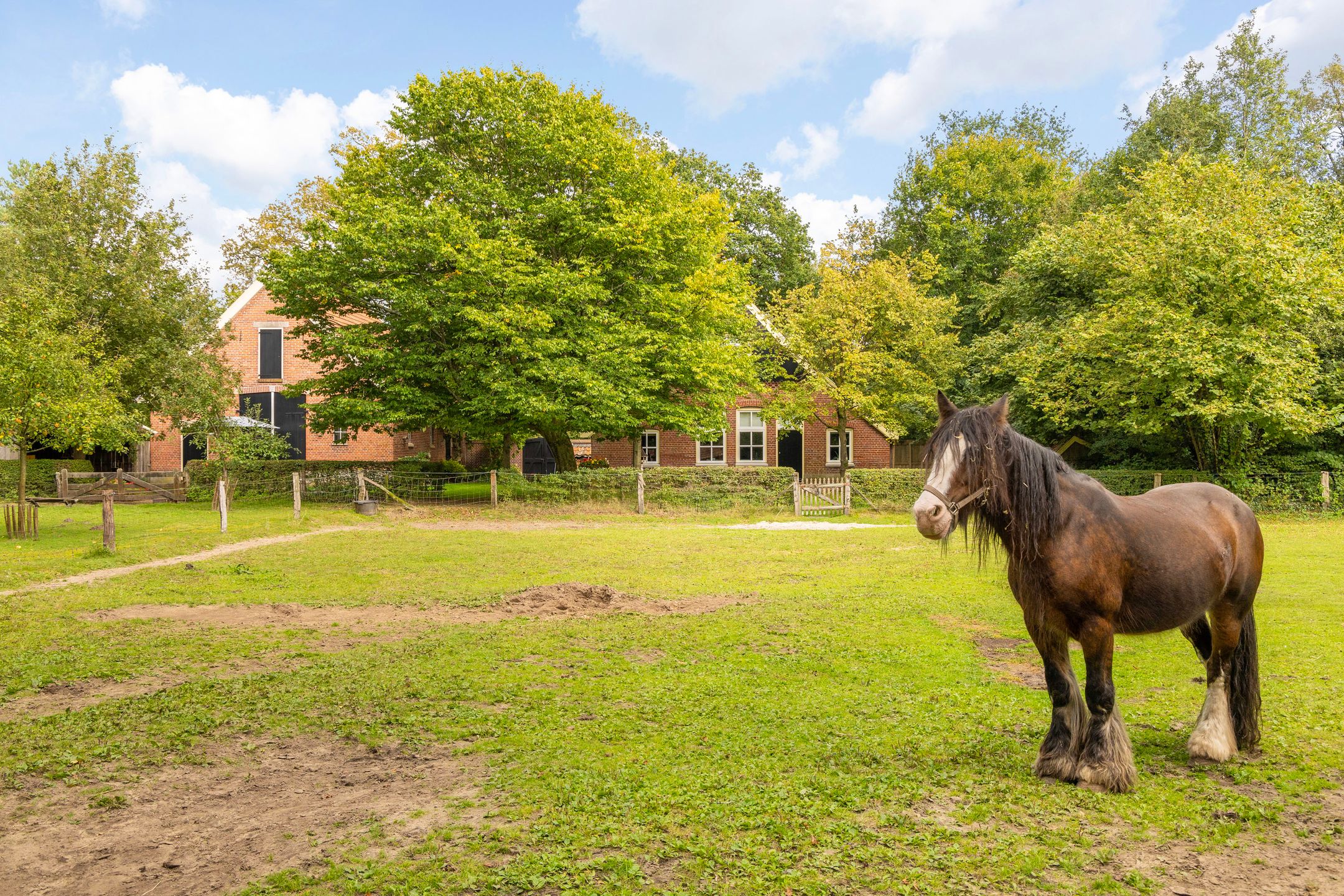 Foto 54 van Weerseloseweg 271