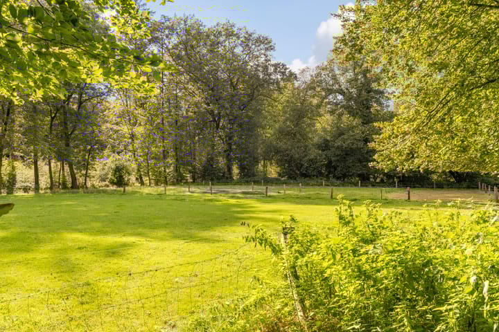 Photo 55 of Weerseloseweg 271