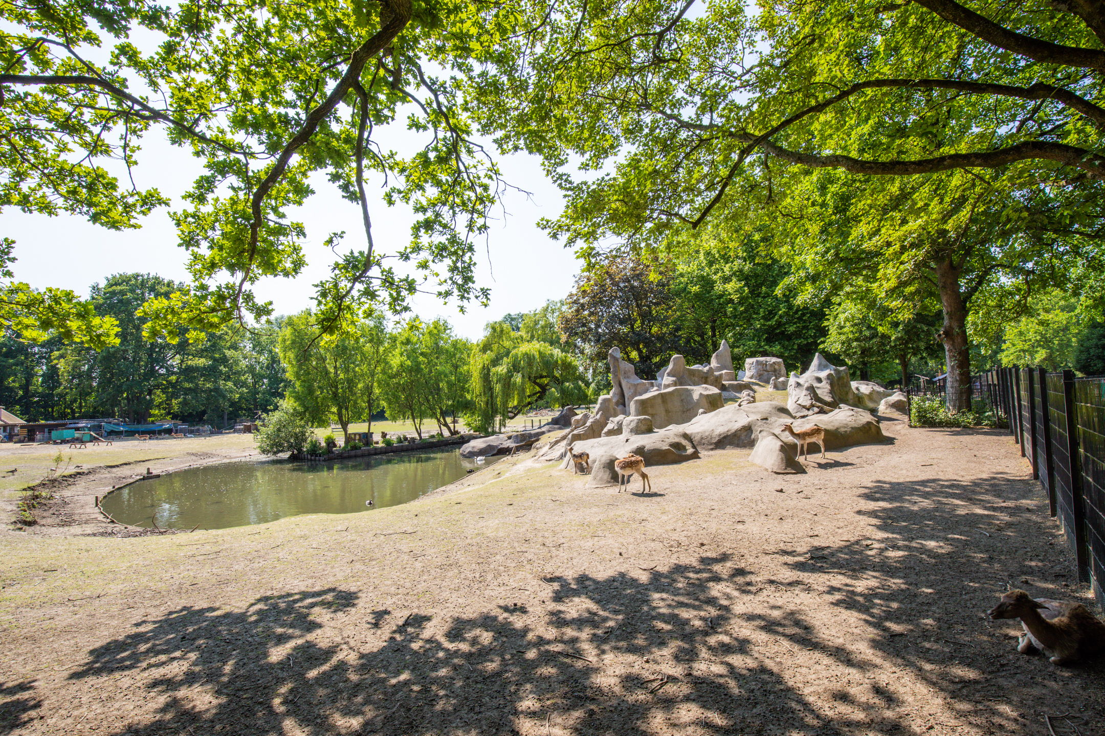 Foto 24 van Amsterdamsestraatweg 737-D